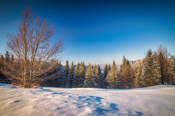 Winter mountain snowy landscape at a sunny day. The Mala Fatra national park in Slovakia, Europe.