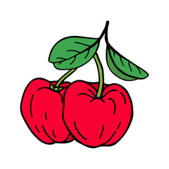 Acerola fruit and leaves. Barbados cherry. Hand drawn vector illustration.