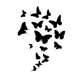 Obraz na płótnie Canvas Flock of silhouette black butterflies on white background