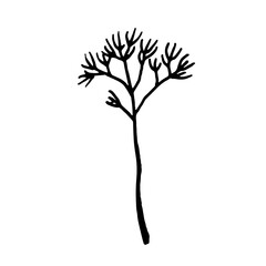 Dry winter twigs, flowers and berries. Black and white sketch. Hand drawn vector illustration.