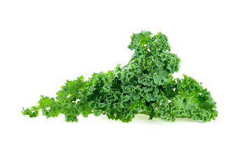 Kale leaf salad vegetable isolated on white background