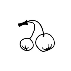 Dry winter twigs, flowers and berries. Black and white sketch. Hand drawn vector illustration.