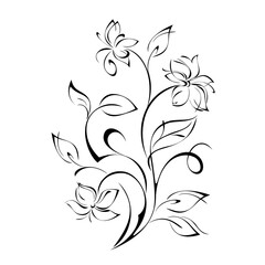twig with stylized flowers, leaves and curls in black lines on a white background