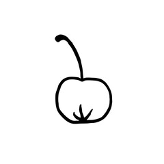 Dry winter twigs, flowers and berries. Black and white sketch. Hand drawn vector illustration.