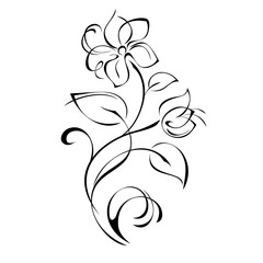 twig with stylized flowers, leaves and curls in black lines on a white background