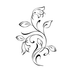 twig with stylized flowers, leaves and curls in black lines on a white background