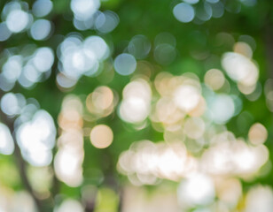 Obraz premium Abstract of blurred sunlight through the tree 