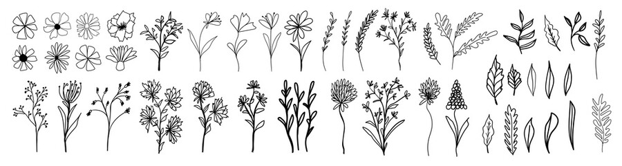 Big collection with branches, flowers and herbs with leaves. Black ink silhouettes isolated on white background. Set of hand drawn vector decorative elements for your design. © Настя Кузнецова