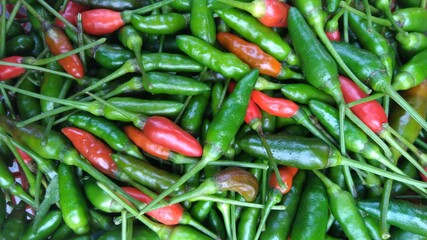 Photo of a collection of Red Chilies and some Green