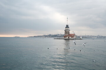 Fototapeta premium The Maiden's Tower under gray cloudy sky, Bosphorus, Istanbul, Turkey during overcast weather with sunshine reflection in bosporus sea. Groups of seagulls flying on sea. İstanbul Turkey 01.03.2021