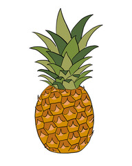 Hand drawn bright pineapple sketch