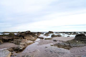 sandy coastal landscape at island of Gotland in Sweden