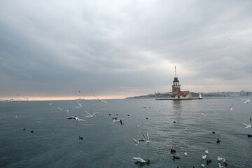 The maiden's tower (kız kulesi) in İstanbul, Turkey during overcast weather with sunshine reflection in bosporus sea.  Groups of seagulls flying on sea. İstanbul Turkey 01.03.2021