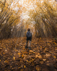 autumn in the park