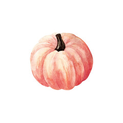 Pumpkin. Watercolor illustration isolated on white background.