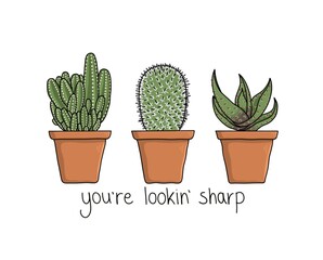 A Trio of Cacti- Cactus Illustration with pun quote