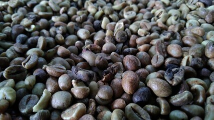 Photo of coffee beans that have not been roasted