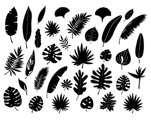 Tropical leaves set. Black silhouette. Jungle forest element. Vector illustration.