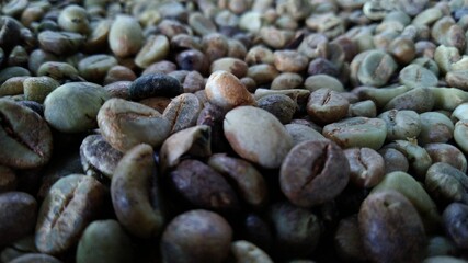 Photo of coffee beans that have not been roasted