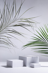 Elegant modern tropical style of showcase for cosmetics product display - white podiums in sunlight...