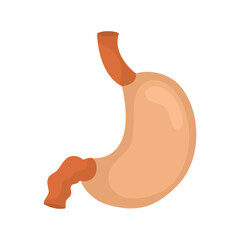 Stomach icon. Human internal organs symbol. Digestive system anatomy. Vector illustration in flat style isolated on white background