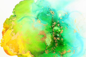 Fototapeta na wymiar art photography of abstract fluid art painting with alcohol ink, ocean colors, green, turquoise, blue and gold