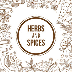 Hand-drawing background with organic and natural sketch herbs and spices.