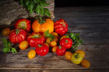 A group of freshly washed tomatoes and parsley is lying on a table of old boards.Dark background. Tomatoes and parsley are ingredients of vegan, Keto and Paleo diets. Detox