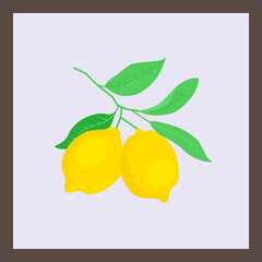 A branch with lemon fruits.  Abstract elements, leaves and fruits, branches. Poster of modern art in pastel colors. Excellent design for social networks, postcards, printing.