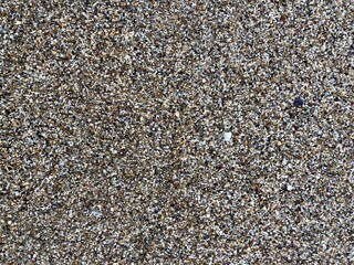 wet pebbles, shells, sand on the seashore close-up