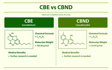 CBE vs CBND, Cannabielsoin vs Cannabinodiol horizontal infographic illustration about cannabis as herbal alternative medicine and chemical therapy, healthcare and medical vector.