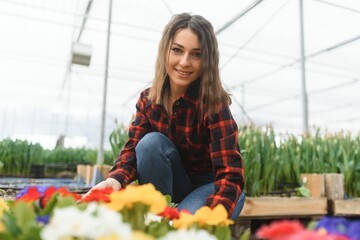 Beautiful young smiling Florists woman, worker with flowers in greenhouse. Concept work in the greenhouse, flowers.