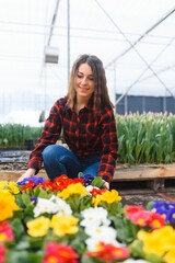 Beautiful young smiling girl, worker with flowers in greenhouse. Concept work in the greenhouse, flowers.