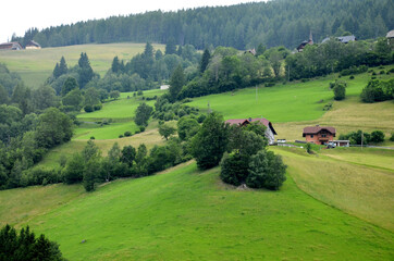 Landschaft, Österreich, Alpen, Landschaft mit grünen Wäldern