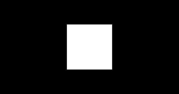 White square. Animation of a liquid appearance of a white square on a black background. Frame-by-frame animation of square logo, text, title of your video. A drop falls on a square and paints it.