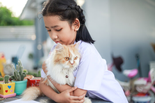 Portrait of a Little Asian girl in Thai student uniform is hugging her Persian cat with happiness, select focus shallow depth of field