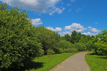 Beautiful walking path in the park for a walk.