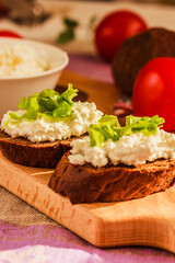 Healthy sandwich idea. Fresh rye bread with cottage cheese and green salad for breakfast. Bio, organic, natural ingredient. Side view