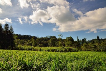 Mountain landscape View Resort. in the Hsinchu,Taiwan.