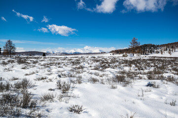 Fototapeta na wymiar View of Ulagan Highlands