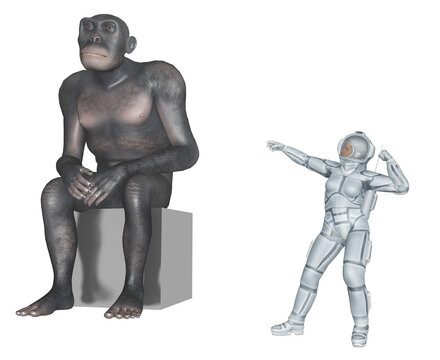 Homo habilis und Astronautin - Die Evolution des Menschen