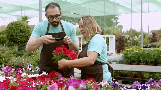 Happy florists taking photo of petunia plant on cellphone. Caucasian female gardener holding pot and bearded man photographing red flowers. Commercial gardening and digital technology concept