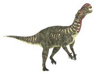 Obraz na płótnie Canvas Dinosaurier Altirhinus, Freisteller