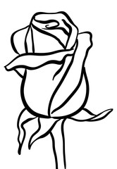 Rose icon stock illustration vector lineart