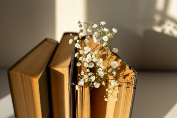 Close up three old book with white gypsophila flowers on table in sun light