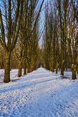 Wonderful day with snow sun trees reflections and great clouds