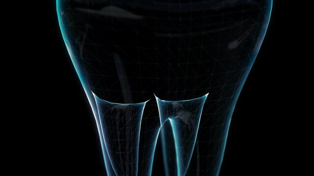 Tooth. Dental, medicine and health concept. Polygon mesh of model. Motion animated virtual space.