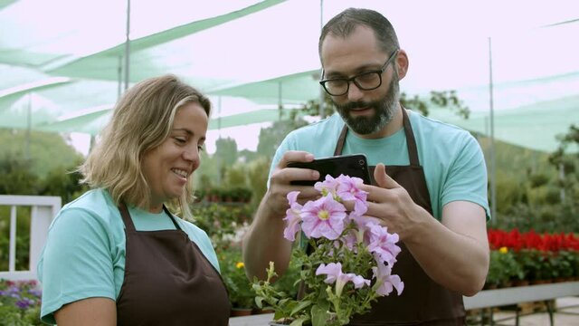 Gardeners talking at work, taking pictures of flower in pot on mobile phone, growing home plants in green house for sale. Medium shot. Gardening job or botany concept