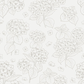 Seamless floral pattern with Hydrangea. Vector illustration.