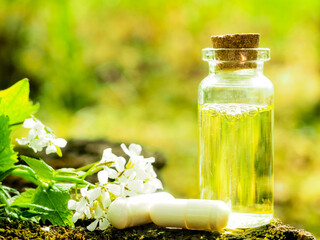 Organic bio alternative medicine, Herbal medicine., bottles of healthy essential oil or infusion...